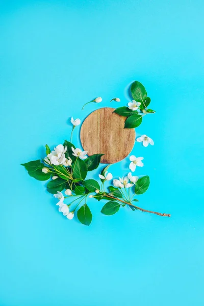 Diseño creativo con el manzano en flor sobre un fondo azul. Acostado. Concepto - minimalismo de primavera — Foto de Stock