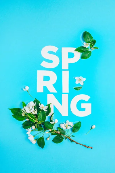 Diseño creativo con el manzano en flor sobre un fondo azul. Acostado. Concepto - minimalismo de primavera — Foto de Stock