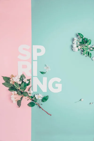 Creative układ z kwitnących jabłoni na niebieskim tle. Leżał z płaskim. Koncepcja - wiosna minimalizm — Zdjęcie stockowe