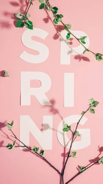 Layout criativo com inscrição Primavera e ramos floridos em fundo pastel. Miminimalismo — Fotografia de Stock