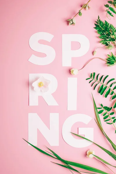 Diseño creativo con inscripción Flores y hojas de primavera sobre un fondo rosa. Flat lay Minimalismo —  Fotos de Stock