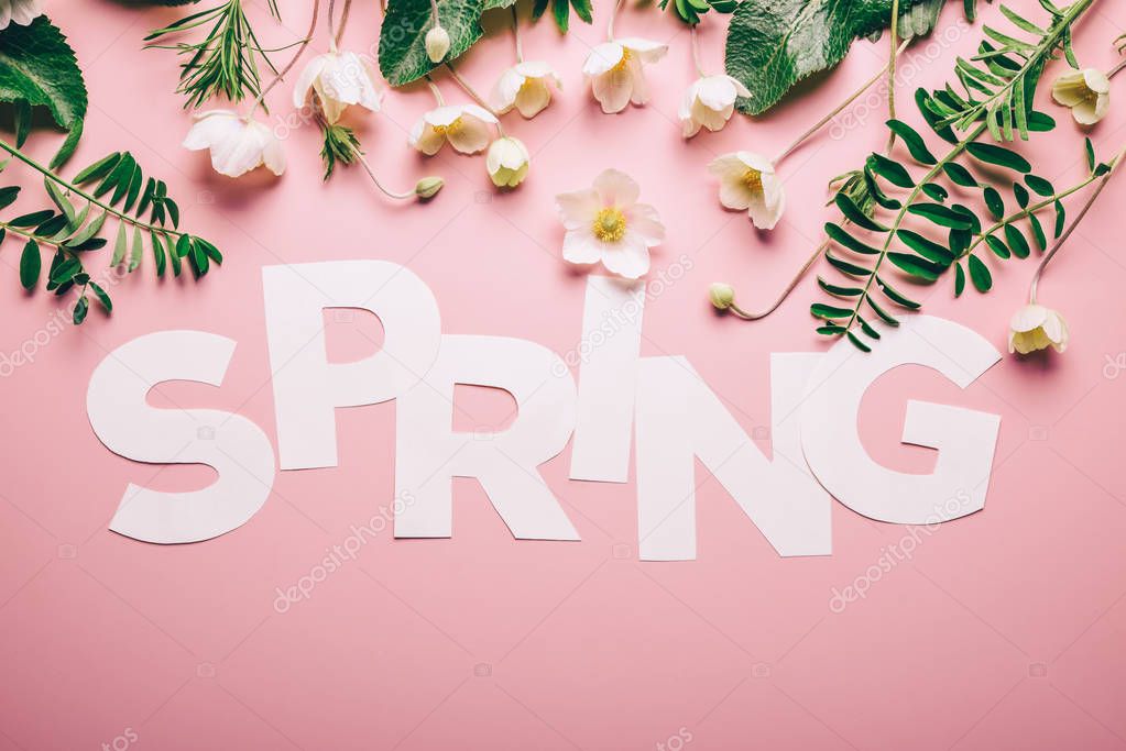Creative layout with inscription Spring flowers and leaves on a pink background. Flat lay Minimalism