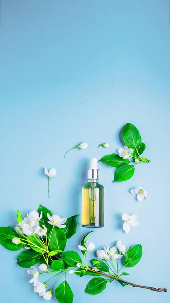 Cosmetici organici naturali su sfondo blu in una cornice di fiori, melo in fiore . — Foto Stock