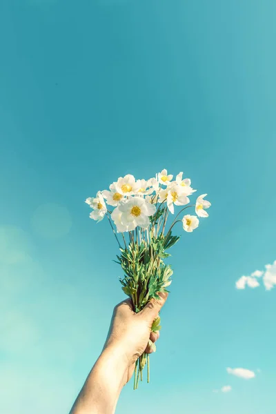 Creative layout whis flowers in hand against a bright blue sky. Summer background concept.