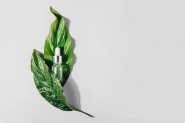 Arka planda vitamin ile doğal serum ile şişe. Yüz için kozmetik prosedürler