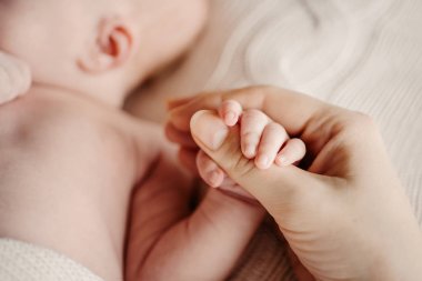 Küçük kolu yeni doğan bebek anneler büyük elinde. Kavram hrukosti ve masumiyet