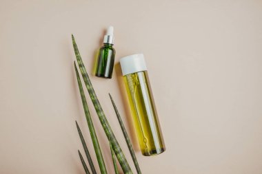 Organik, doğal kozmetik. Doğal şampuan, tonik, saç ve cilt için serum. Düz yatıyordu, Minimalizm, pastel