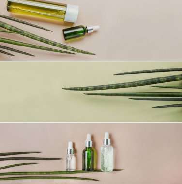 Organik, doğal kozmetik, saç bakımı için serum. Düz yatıyordu, pastel. Koleksiyon fotoğraf Banner