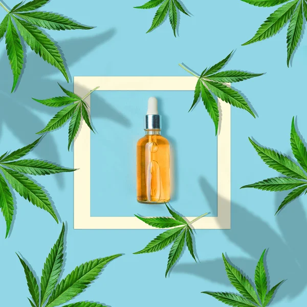 Composition of cannabis leaves on a light blue background with a bottle CBD OIL. Minimal cannabidiol concept. Flat lay — Stock Photo, Image