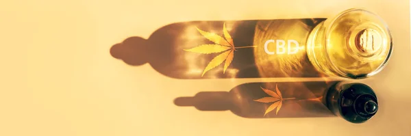 Trendy güneş ışığı ve ışık arka plan Yaratıcı kompozisyon, minimalizm kavramı Banner cbd yağ şişeleri gölgeler