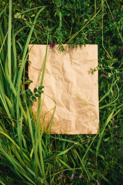 Yeşil doğal çim zanaat kağıt yaratıcı arka plan. Ekolojik ürünler kavramı, doğa