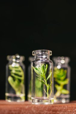 Homeopatik Sebze Yağı. Organik, Biyolojik Kozmetik ve Gıda Katkıları Konsepti