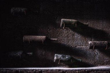 Eski, eski şarap koleksiyonu ve tozlu şarap şişeleri yeraltı mahzeninde