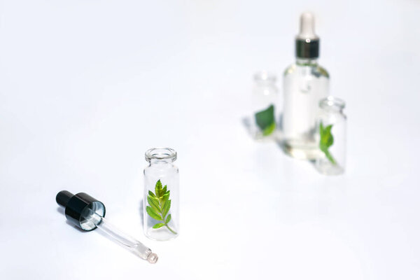 Bottles with herbs for natural essential oils and organic cosmetics on the white background. Concept of an eco laboratory for the production of natural products, supplement, cosmetics