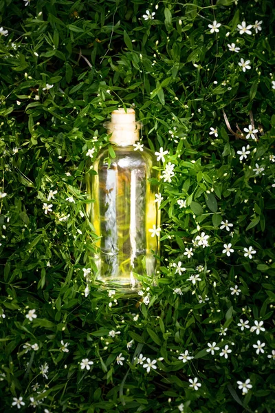 Natural Organic Oil Glass Bottle Green Grassy Background Close Flat — Stock Photo, Image