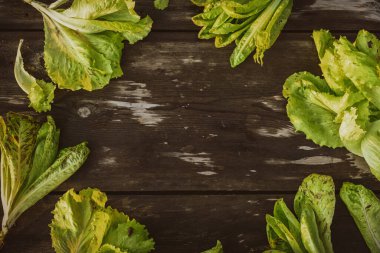 Taze Marul 'un çerçevesi ahşap, koyu bir masa üzerinde duruyor. Batavia salatası kopyala.