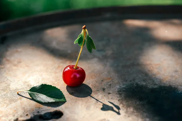 Ciliegie mature con gocce di rugiada su fondo scuro nei raggi della luce del mattino — Foto Stock