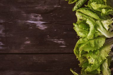 Taze Marul 'un deseni ahşap, koyu bir masa üzerinde duruyor. Batavia salatası kopyala