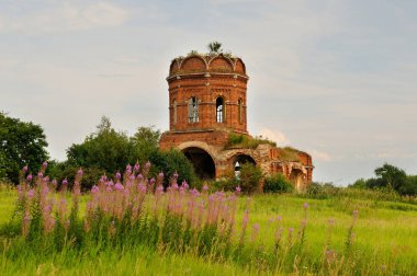 19. yüzyıl willow herb çiçekler ön planda, Tula region, Rusya Federasyonu ile kilise kalıntıları