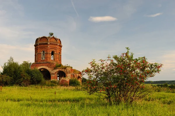 Kırmızı bir yaşlı bush ön planda, Tula region, Rusya Federasyonu ile 19. yüzyıl kilise kalıntıları