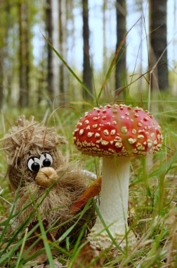 Ahşap ruh (Amanita muscaria lat.), sinek agaric mantar altında duran Puumala, Finlandiya