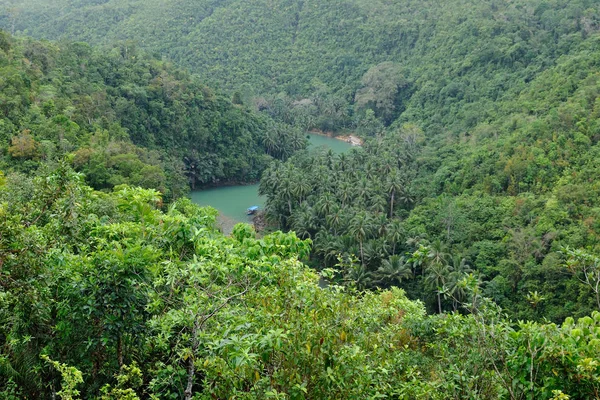 Lille Flod Vandrer Gennem Junglen Bohol Phillipines - Stock-foto