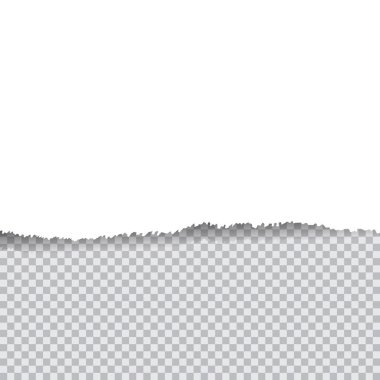 Transapency arka plan üzerinde yırtık kağıt vektör