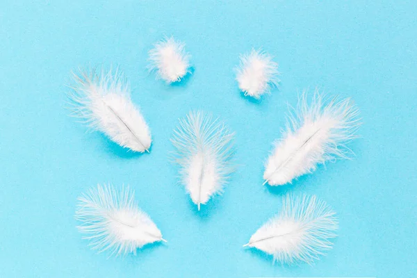 Many white feathers on the soft blue background.