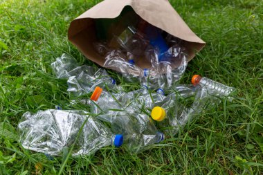 Birçok şeffaf boş su şişeleri yeşil çimlerin üzerindeki kağıt torbada toplanır. Atık ve geri dönüşüm plastik şişeleri kavramını ayır. Dünyayı kurtar ve çevre dostu ol.