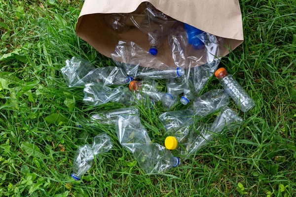 Many transparent empty water bottles are gathered in the paper bag on the green grass. Separate waste and recycle plastic bottles concept. Save the earth and be eco friendly