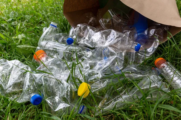 Birçok şeffaf boş su şişeleri yeşil çimlerin üzerindeki kağıt torbada toplanır. Atık ve geri dönüşüm plastik şişeleri kavramını ayır. Dünyayı kurtar ve çevre dostu ol.