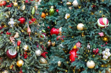 Noel ağacı süslemeleri. Kırmızı ve altın topları, oyuncakları ve ışıkları sallanan yeşil ladin çalıları.