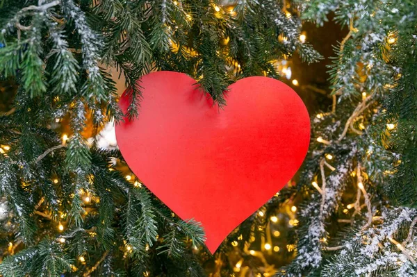 Zbliżenie Czerwonego Wielkiego Serca Wiszącego Między Gałęziami Choinki Nowy Rok — Zdjęcie stockowe