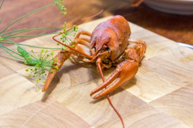 Tahtada dereotlu kırmızı kerevit.