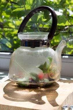 Yeşil çay ve otlu küçük çaydanlık. Nane, Melissa ve böğürtlenlerle lezzetli bir yaz çayı yapmak