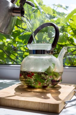 Yeşil çay, nane, Melissa ve böğürtlenli çaydanlığa sıcak su koyuyorum. Güneşli bir günde lezzetli bir bitki çayı.