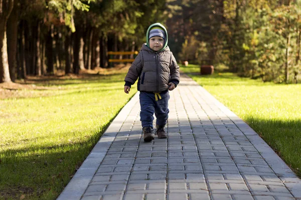 Милый малыш малыш прогуливаясь по осеннему весеннему парку — стоковое фото