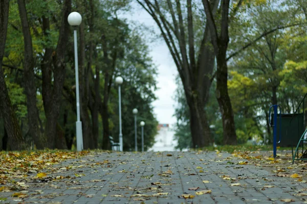 Road through the park at rainy autumn morning. background, nature. — Stock Photo, Image