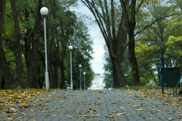 Дорога через парк в дождливое осеннее утро. фон, природа . — стоковое фото