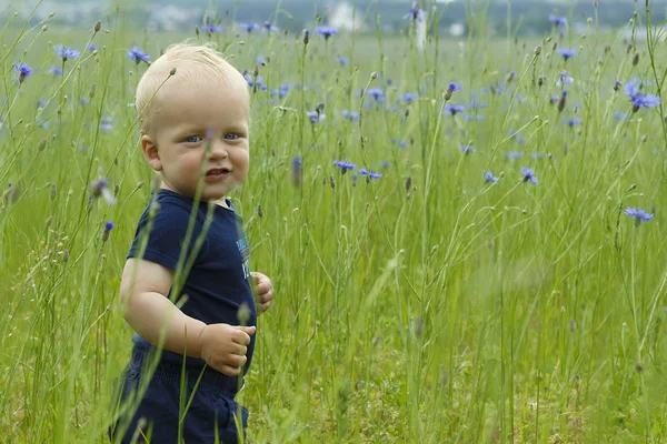 Очаровательный улыбающийся малыш в высокой летней траве. Копирование пространства — стоковое фото