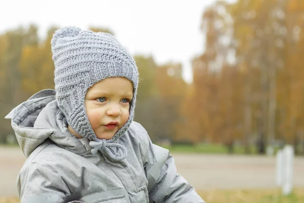 Милый мальчик в шляпе на открытом воздухе. Осенняя съемка. Симпатичный портрет малыша. Копирование пространства . — стоковое фото