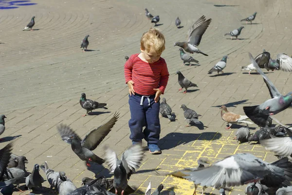 Un bebé rodeado de palomas en la plaza — Foto de Stock