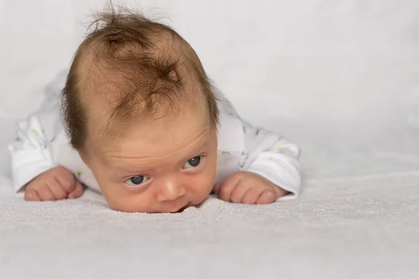 Noworodek chłopca leżącego na łóżku. Cute noworodka układania na koc. Kopiuj przestrzeń — Zdjęcie stockowe