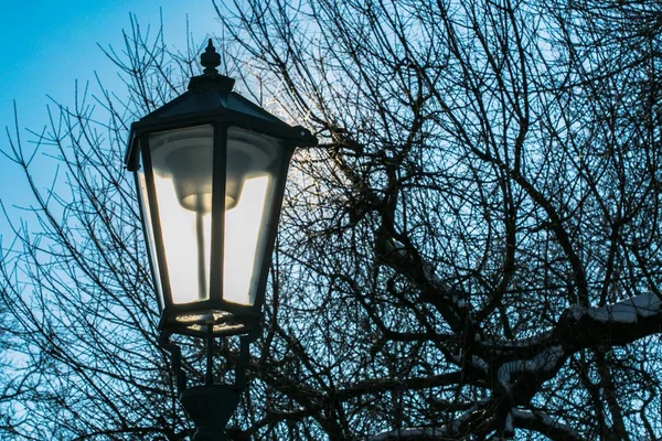 Historické Ulici Lampa Vyrobená Kovu Studené Slunný Zimní Den Stromů — Stock fotografie