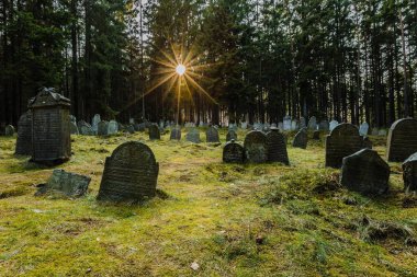 Pansky Vrch, Çek Cumhuriyeti / Avrupa - 1 Nisan 2019: mezar taşları Drmoul, yeşil çimen, yakın ormanda yerleştirilen eski Yahudi Mezarlığı üzerinde İbranice harfler ile güneş ağaçların arasından günbatımı sırasında parlayan