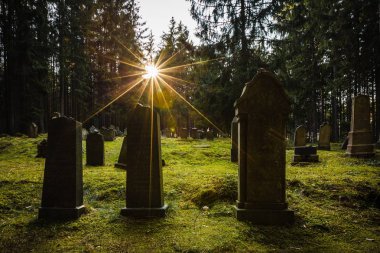 Pansky Vrch, Çek Cumhuriyeti / Avrupa - 1 Nisan 2019: mezar taşları Drmoul, yeşil çimen, yakın ormanda yerleştirilen eski Yahudi Mezarlığı üzerinde İbranice harfler ile güneş ağaçların arasından günbatımı sırasında parlayan