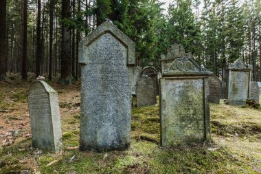 Pansky Vrch, Çek Cumhuriyeti/Avrupa-Nisan 1 2019: Drmoul yakın ormanda yerleştirilen eski bir Yahudi mezarlıkta Ibranice harfler ile gri mezar taşları, ağaçlar, yeşil çim ile çevrili