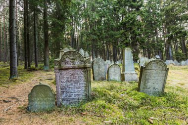 Pansky Vrch, Çek Cumhuriyeti/Avrupa-Nisan 1 2019: Drmoul yakın ormanda yerleştirilen eski bir Yahudi mezarlıkta Ibranice harfler ile gri mezar taşları, ağaçlar, yeşil çim ile çevrili