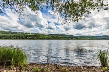 Yeşil çimen ve dalları ile taşlı kıyıdan göl manzaralı bahar manzara. Mavi gökyüzü ve beyaz bulutlar ve suyun diğer tarafında orman ile doğada güneşli bir gün. 