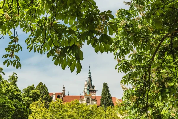 Romantik Pruhonice Kale Bahar Görünümü Çek Cumhuriyeti Avrupa Bir Parkta — Stok fotoğraf